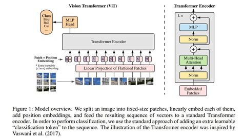 Vision Transformers vs. Convolutional Neural Networks | by Fahim ...