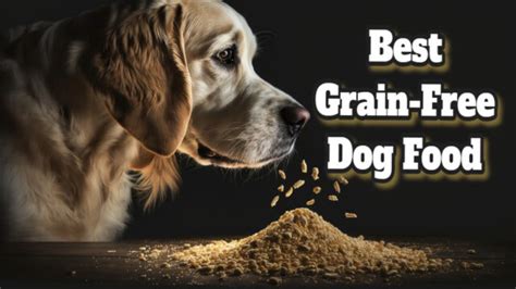 How To Choose Best Grain Free Dog Food? - Petmoo