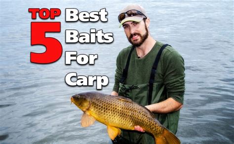 Top 5 Best Baits For Carp Fishing | Fish'n Canada