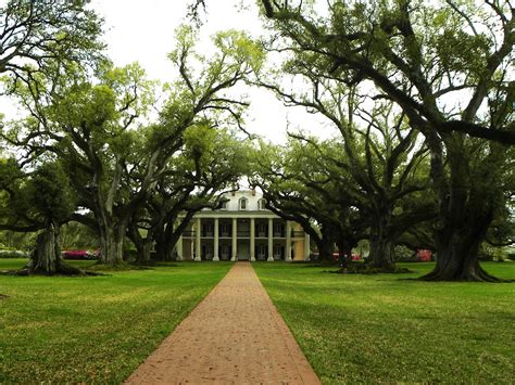 2015 TRAVELS : OAK ALLEY PLANTATION ON THE GREAT RIVER - LOUISIANA ROAD