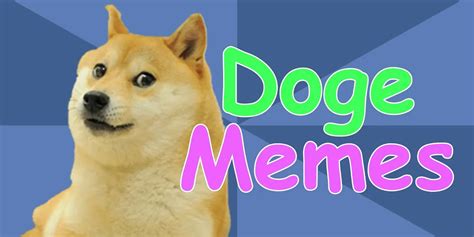 Doge Memes: A Complete History of Shiba Inu-Inspired Memes