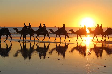 10 Fun Things To Do At Cable Beach Broome – What's On Watsons