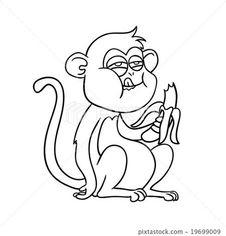 monkey eating a banana - Stock Illustration [19699009] - PIXTA