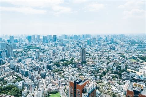 Tokyo City View and Mori Art Museum at Mori Tower • Just One Cookbook