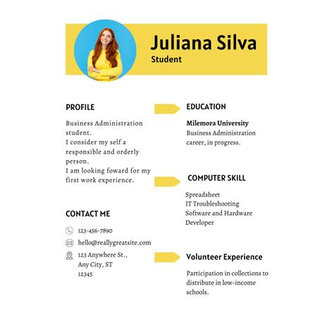 Professional Student Resume / CV Template - MasterBundles