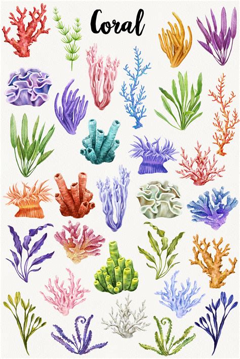 Watercolor Coral Reef Clipart Under the Sea life clip art | Etsy