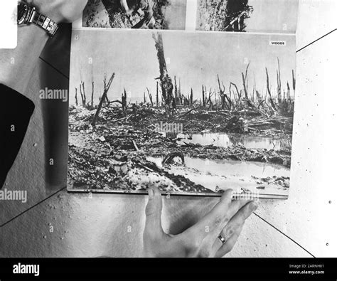 World War I Date: October 9, 1973 Keywords: WORLD WARS Stock Photo - Alamy