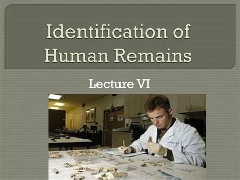 PPT - Identification of Human Remains PowerPoint Presentation, free ...