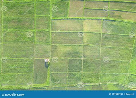 Cultivated Land and Land Plot or Land Lot in Aerial View Stock Image - Image of ground ...