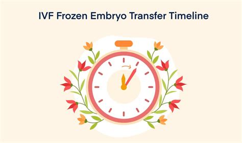 IVF Frozen Embryo Transfer - Timeline, Process, Pregnancy Test