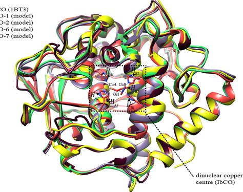 Figure 2 from Structural Diversity in the Dandelion (Taraxacum officinale) Polyphenol Oxidase ...