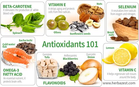 Antioxidants 101 | HerbaZest