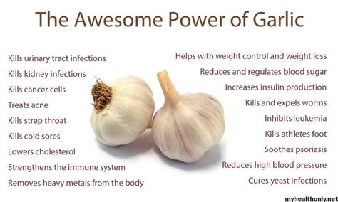 Is Garlic Good For Fistula at Linda Wooden blog