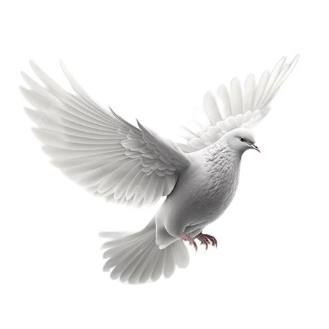 Peace Dove Flying Cartoon White Background Transparent, Dove Clipart ...