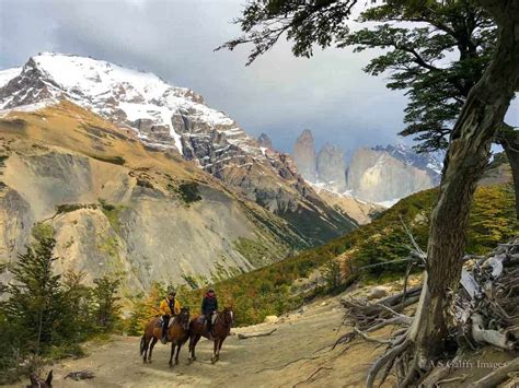 Easy and Moderate Day Hikes in Torres del Paine - Travel Notes & Beyond