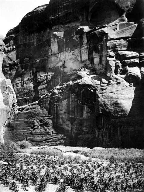 Navajo Corn Fields, C1906 Photograph by Granger - Fine Art America