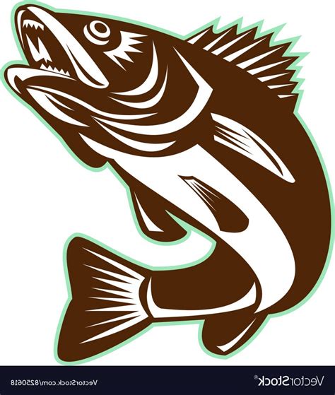 Walleye Vector at Vectorified.com | Collection of Walleye Vector free for personal use