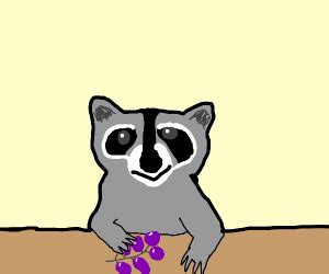 That one video of the raccoon eating grapes. - Drawception