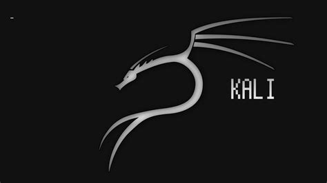 [100+] Kali Linux Wallpapers | Wallpapers.com