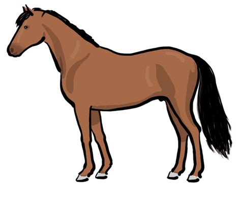File:Horse illustration.jpg - Wikimedia Commons