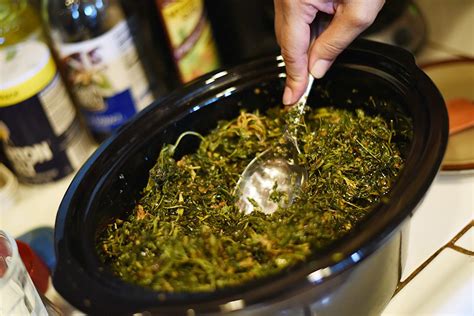 How To Make Cannabis Oil In Your Slow Cooker