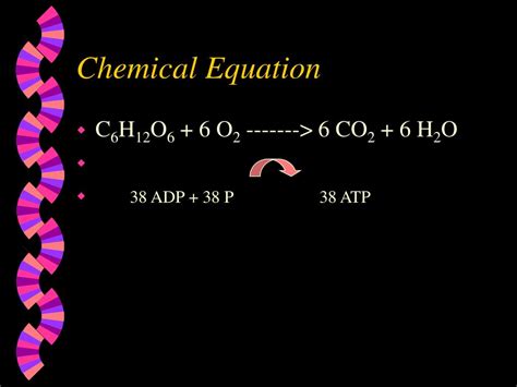 PPT - Microbial Metabolism PowerPoint Presentation, free download - ID:143983