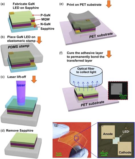 Schematic of the fabrication process for GaN LEDs on a PET substrate ...