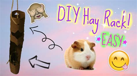 DIY Guinea Pig Hay Rack Tutorial *EASY* | PiggyPalace - YouTube