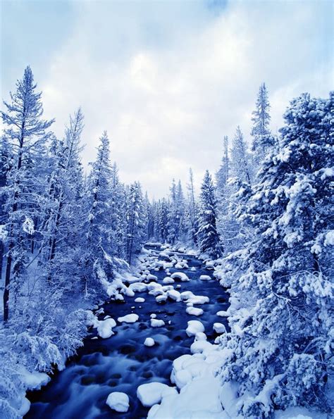 Wintry River Landscape stock image. Image of woods, forest - 2295303