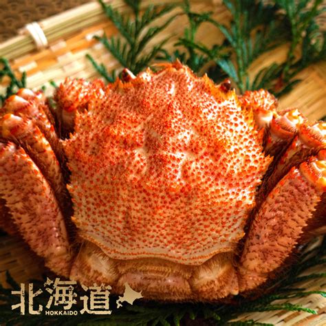 Hokkaido Boiled Horsehair Crab 450g x 2 – Oritz Shop