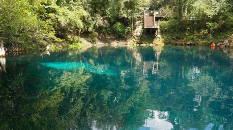 Hiking Live Oak – Florida Hikes