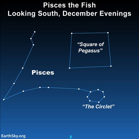 Meet Pisces the Fish, 1st constellation of the zodiac