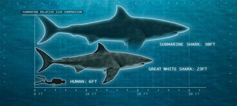 Anger builds over Shark Week's fake submarine documentary: Readers sound off - oregonlive.com