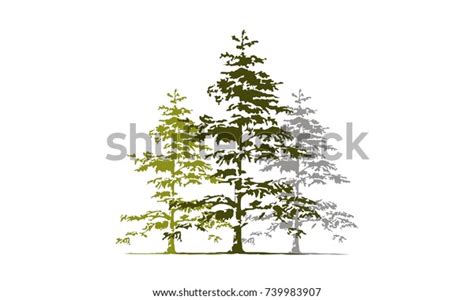 21,082 Cedar Tree Snow Images, Stock Photos & Vectors | Shutterstock