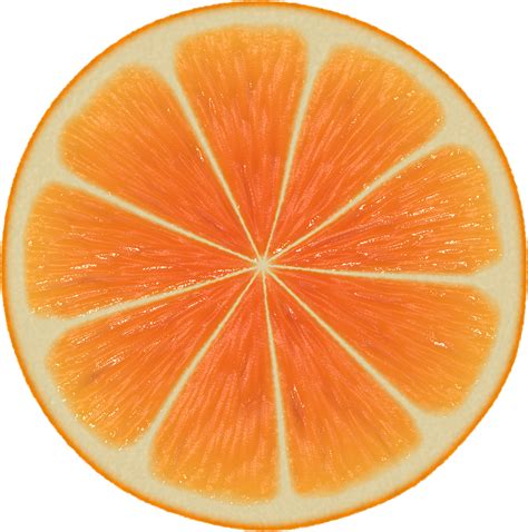 Perfect Orange Halved PNG Image | Orange, Patterns in nature, Fruit