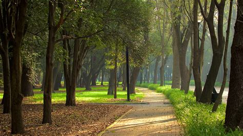 Chapultepec Park in Mexico City, | Expedia