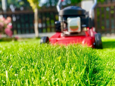 Lawn Mowing Heights for Buffalo Grass | myhomeTURF