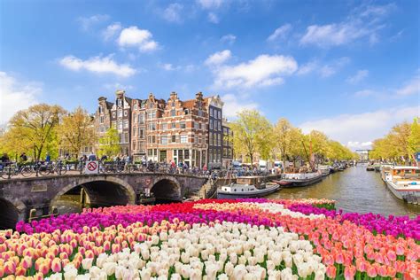 3 Days in Amsterdam: An Unforgettable Itinerary | Celebrity Cruises