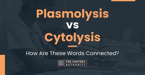 Plasmolysis vs Cytolysis: How Are These Words Connected?