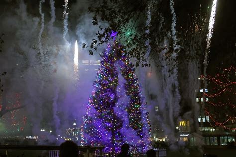 The 5 Most Dazzling Boston Christmas Trees Lighting Up The City