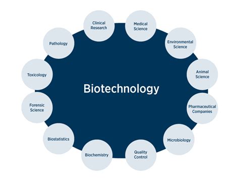 Bachelor of Applied Science in Biotechnology Degree | Edwards Campus