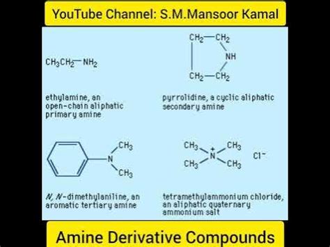 Amines Derivative Compounds - YouTube