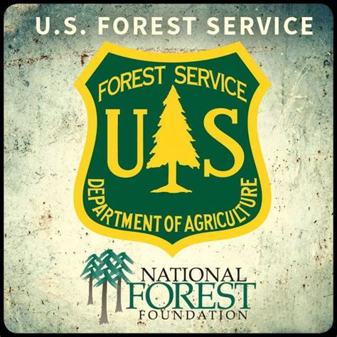 Forest Service Assessment Looks to Future Planning, Highlights Forest ...