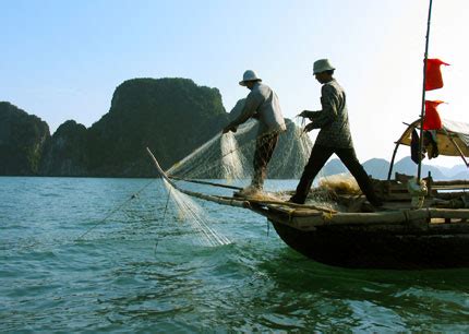 Cấm đánh bắt cá trong vùng lõi di sản vịnh Hạ Long - Tép Bạc