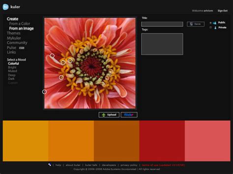 Creating Color Schemes for Web Design - Practical Ecommerce