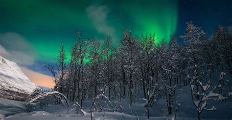 The 7 Best Norway Northern Lights Tours [2024 Reviews] | World Guides To Travel