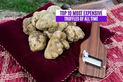 Top 10 Most Expensive Truffles of All Time