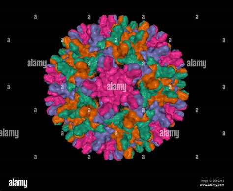 Hepatitis b capsid hi-res stock photography and images - Alamy