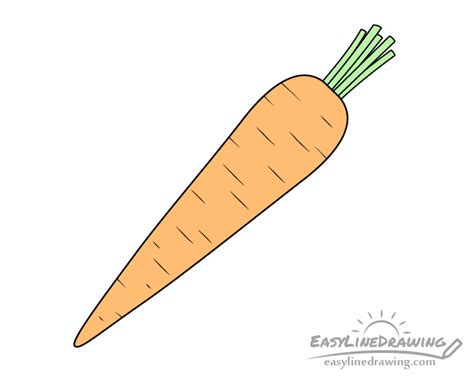 How to Draw a Carrot Step by Step - EasyLineDrawing