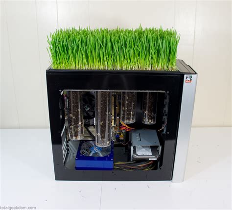 Bio Computer Living Grass Computer | Total Geekdom